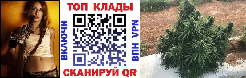 Купить закладку Канабис  Альфа ПВП  Меф  COCAIN  Торопец