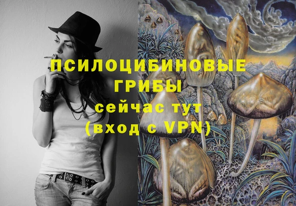 молекула духа Остров