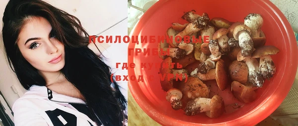 молекула духа Остров